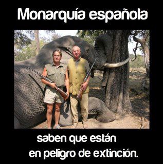 Monarquia española, en peligro de extinción