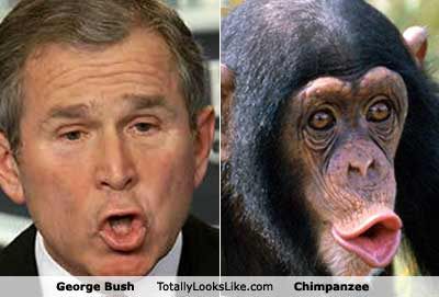 George Bush - Parecidos sorprendentes