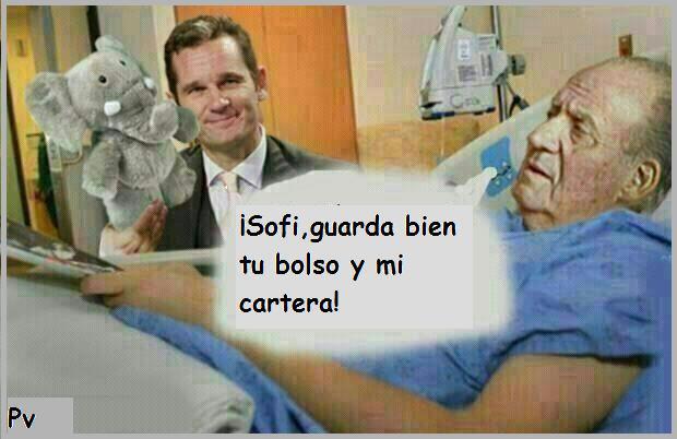 Sofi, guarda bien las cosas