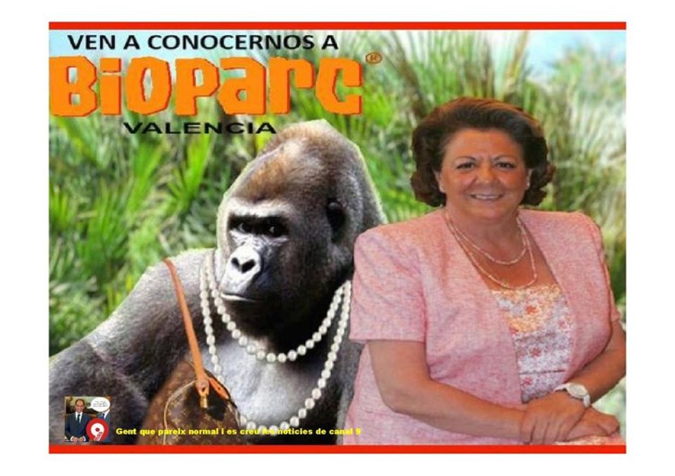 Visita a Rita en el Bioparc Valencia