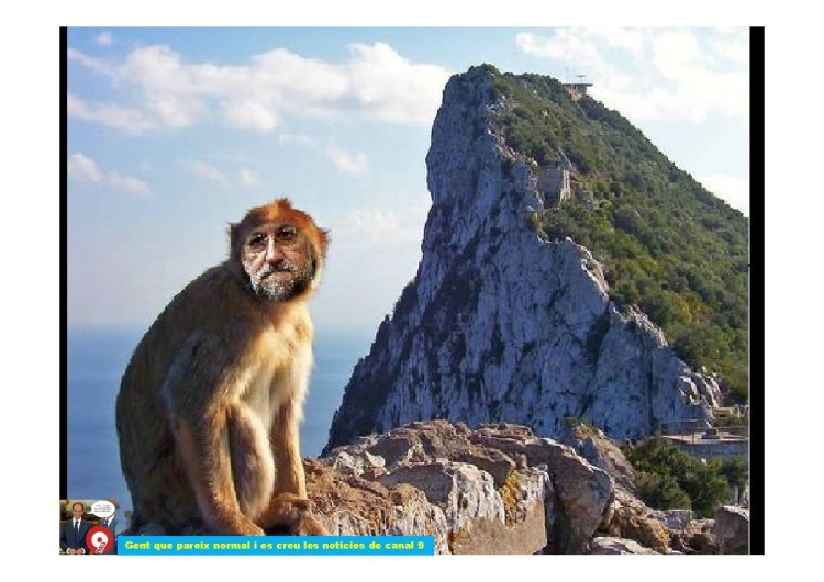 Mariano, el mono de Gibraltar