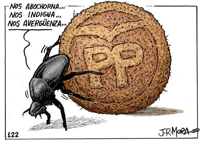 Escarabajo PPelotero