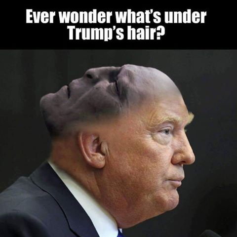 Lo que realmente hay en la cabeza de Trump